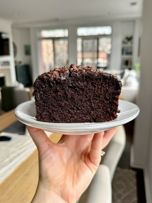 chocolate cake baked as a loaf with chocolate chips on top