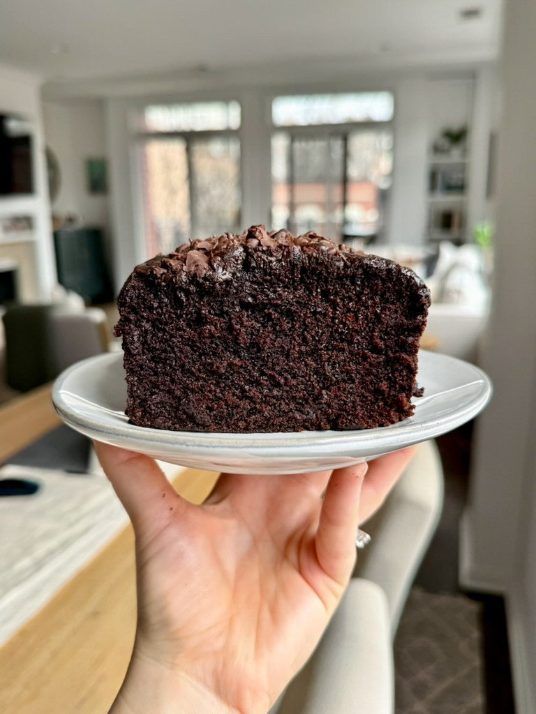 chocolate cake baked as a loaf with chocolate chips on top