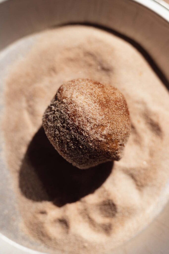 Apple cider muffins rolled in cinnamon sugar