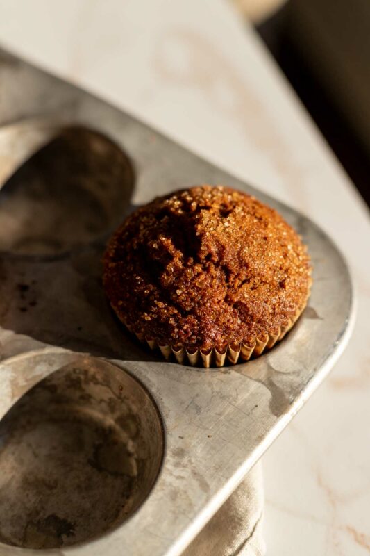 a baked spiced molasses muffin in the muffin pan in bright afternoon sunlight
