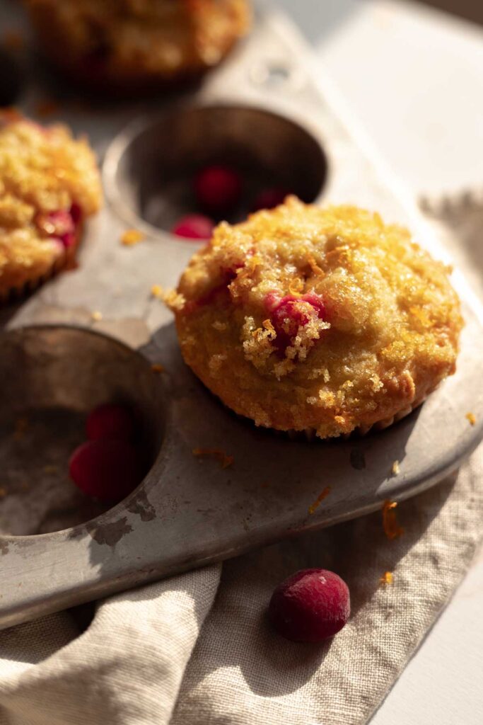 a just-baked cranberry orange muffin in the muffin tin, shown in bright sunlight with additional fresh cranberries sprinkled around it